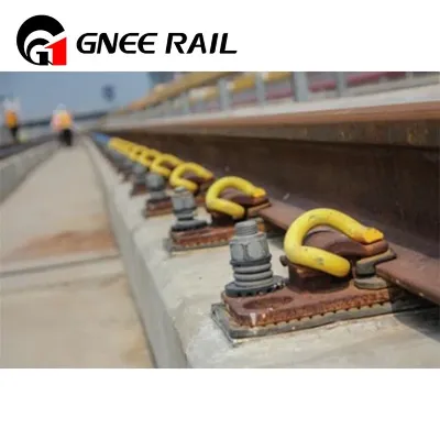 Rail Elastic Clips Rail Elastic Clips